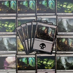 Magic: the Gathering 10 Assorted Basic Swamps